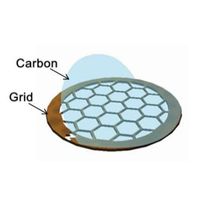 Pure Carbon Film on 300/400 Mesh Copper Grids especially for Organic Solvent TEM Sample EMCN