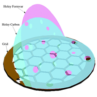 Holey Carbon Films on Copper Grids