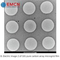 GIG® Pure Holey Carbon Support Film for Cryo-TEM